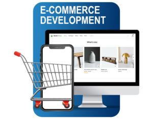 E-Commerce Development